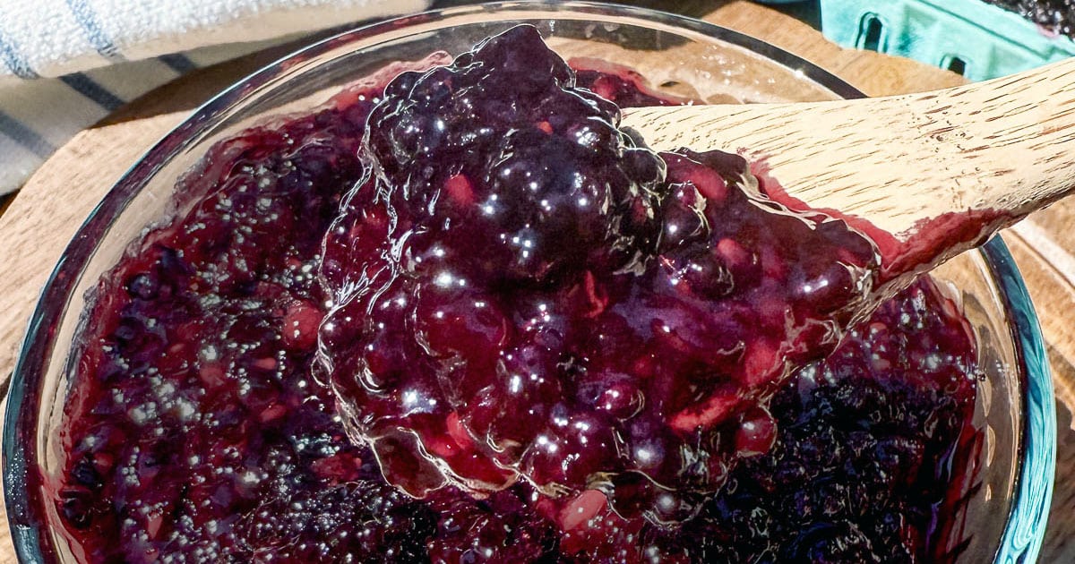 Glossy Blackberry Filling – Sugar Geek Show