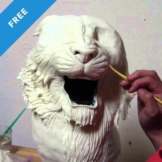 Tiger Cake Timelapse