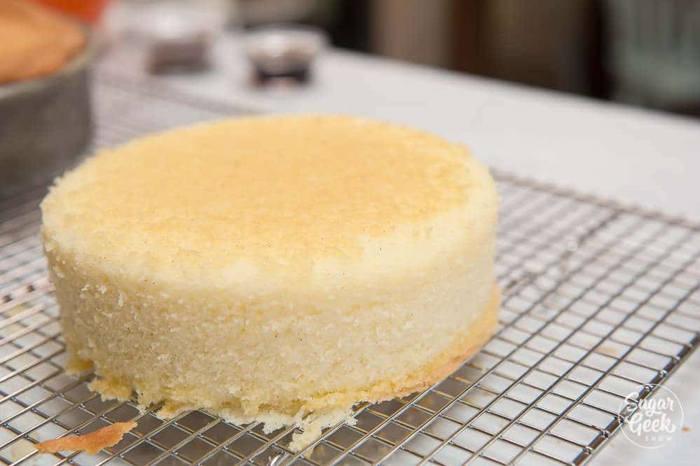 photo of vanilla cake on cooling rack