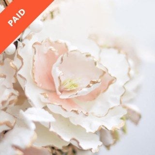 Gumpaste Peony
