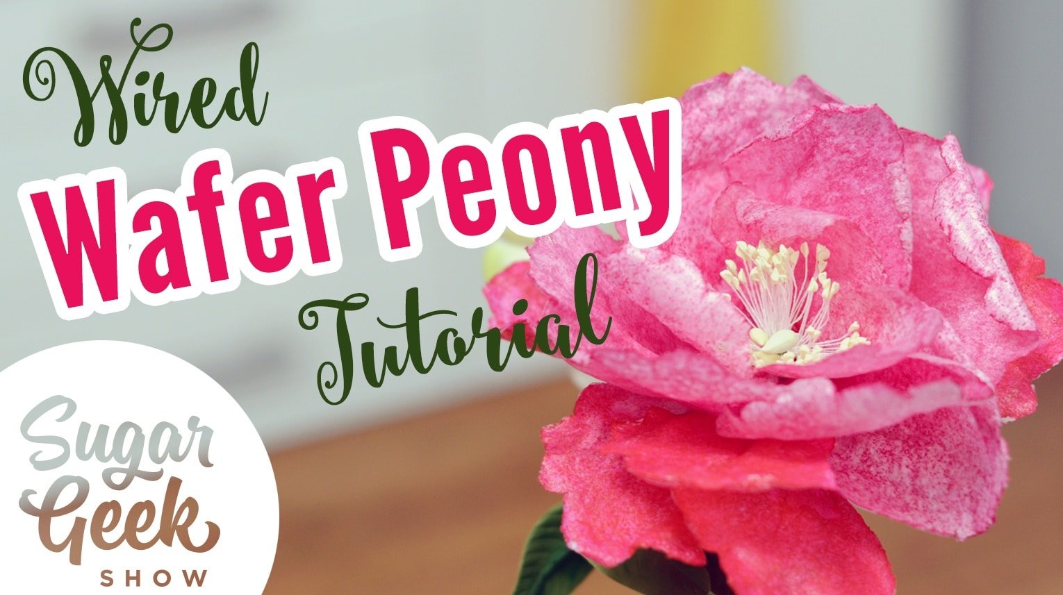 Wafer Paper Flowers Tutorial