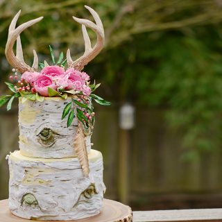 Boho Antler Birch Cake