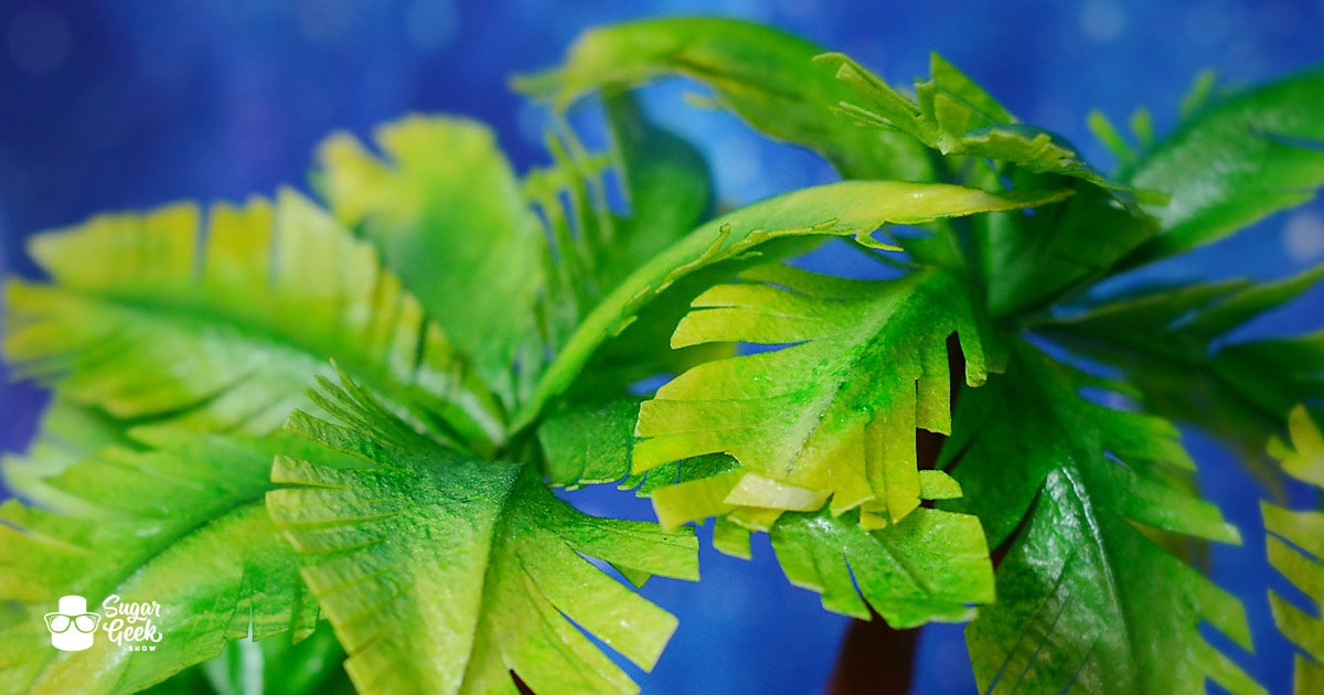 Edible Palm Trees