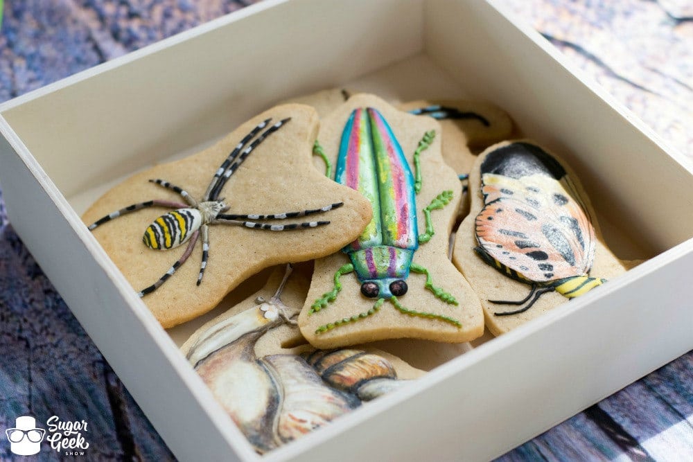 Bug Theme Sugar Cookies