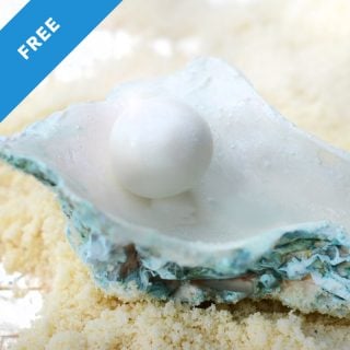 no-mold oyster tutorial