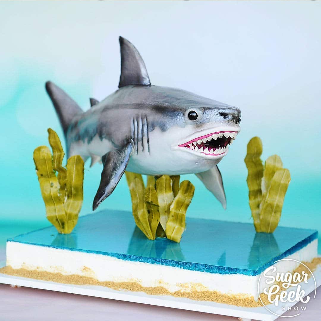 This shark cake looks like it's about to swim right up to you and take a bite! Featuring a gravity-defying structure, flexible edible seaweed and Jell-O water. Sculpt a 3D shark out of cake, learn to paint details and make sugar eyes! All your guests will be wondering how this is really a cake!