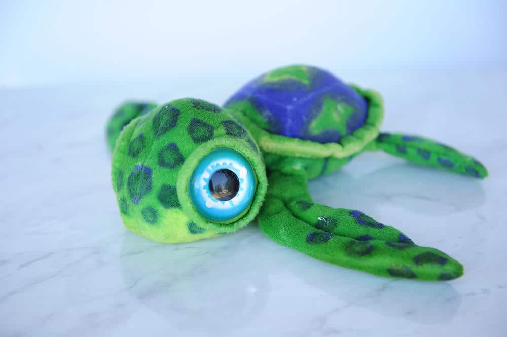 toy turtle