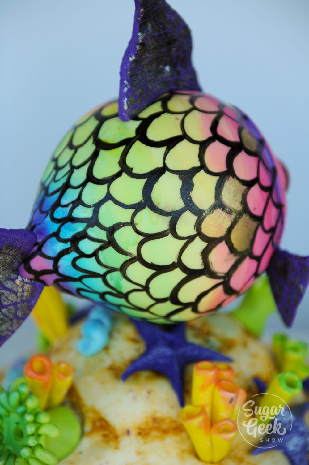 rainbow fish cake