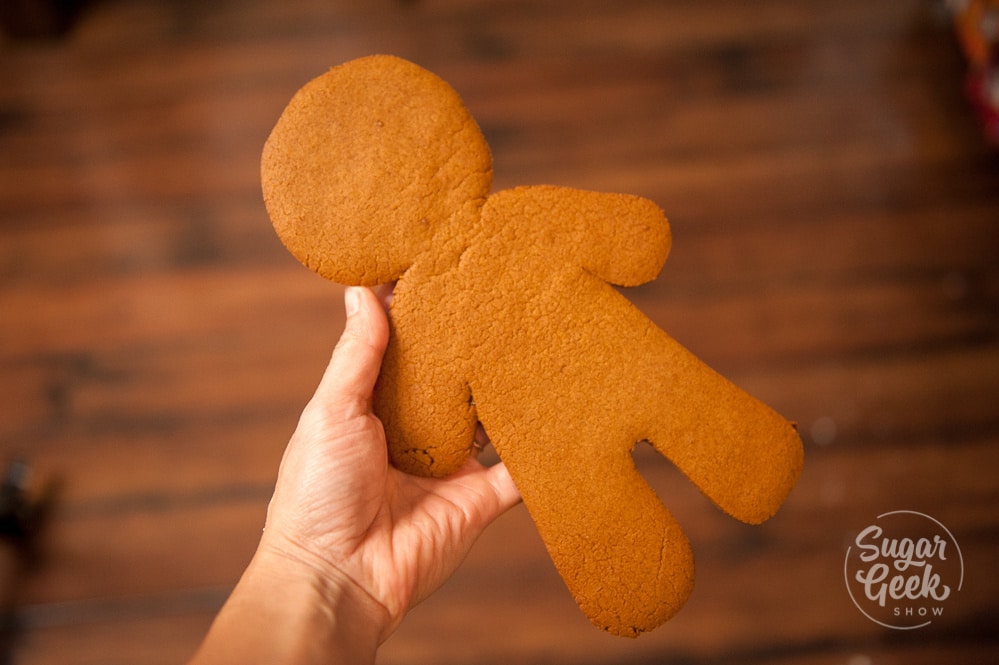 giant gingerbread man teddy