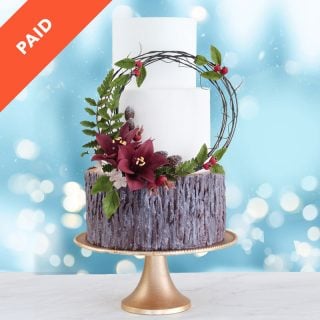 Online Cake Decorating Tutorials Sugar Geek Show