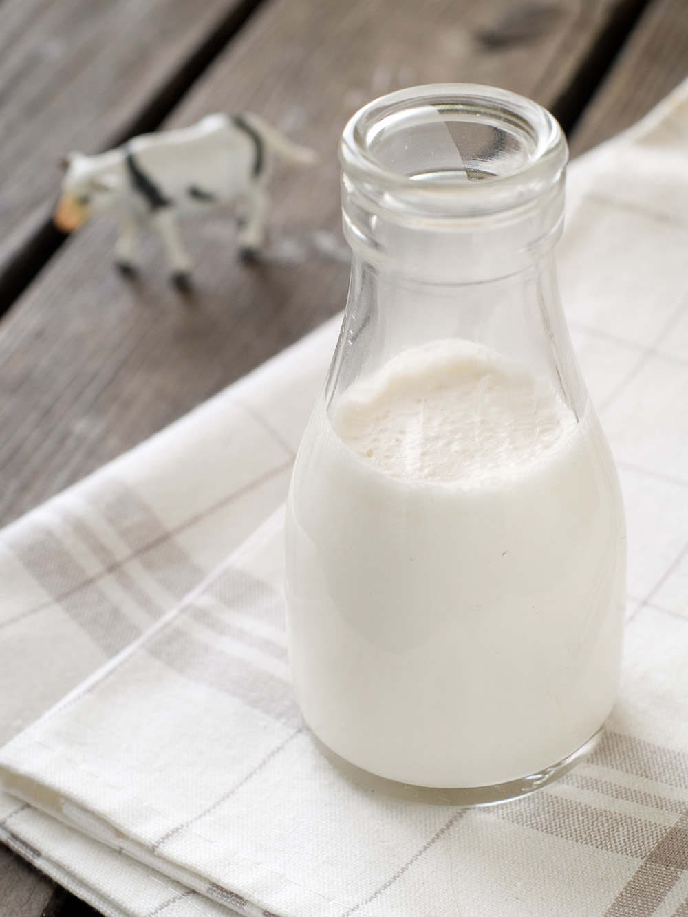 buttermilk in glass bottle on white napkin. Small cow toy in the background