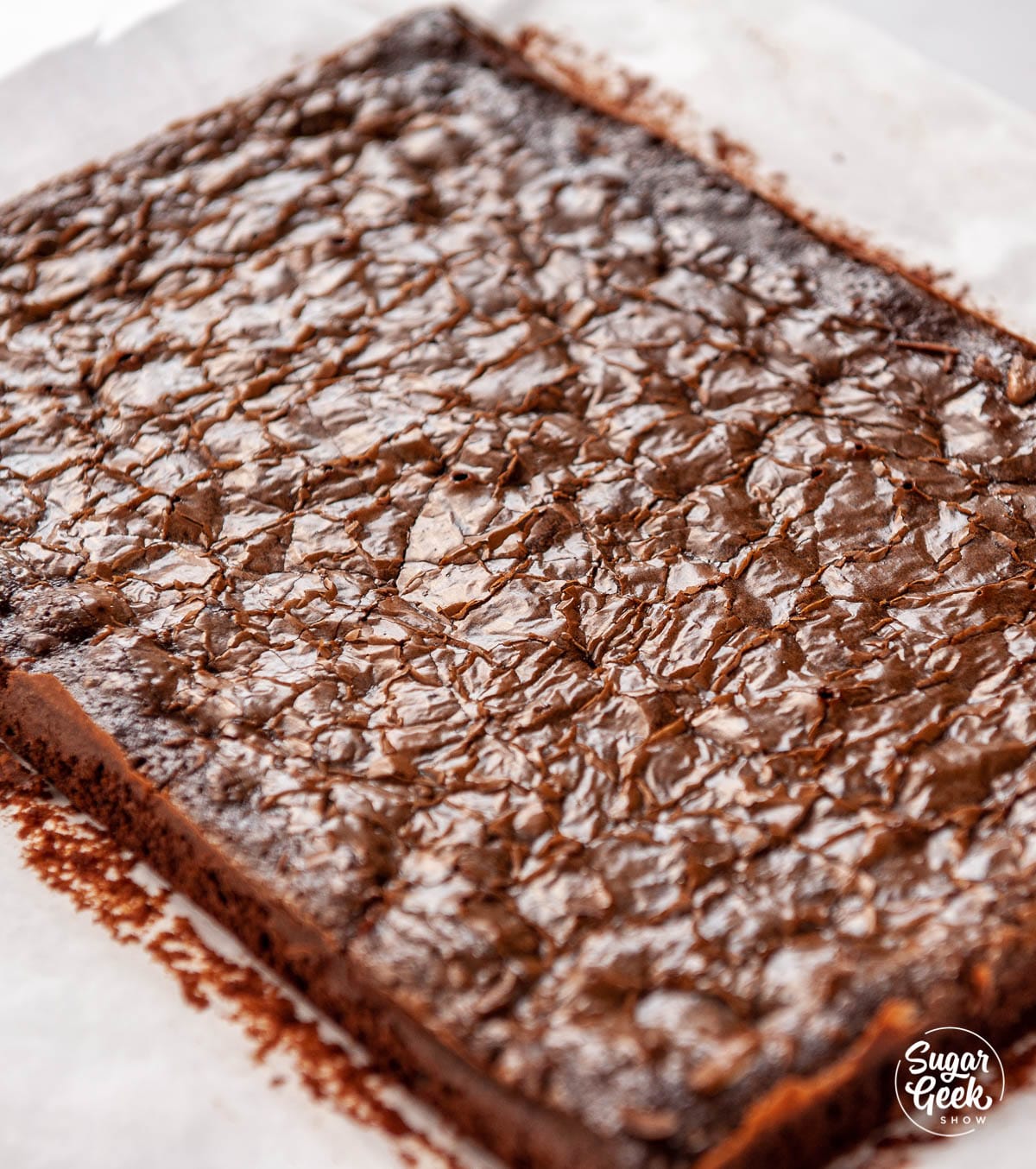 fudgy homemade brownies on parchment paper