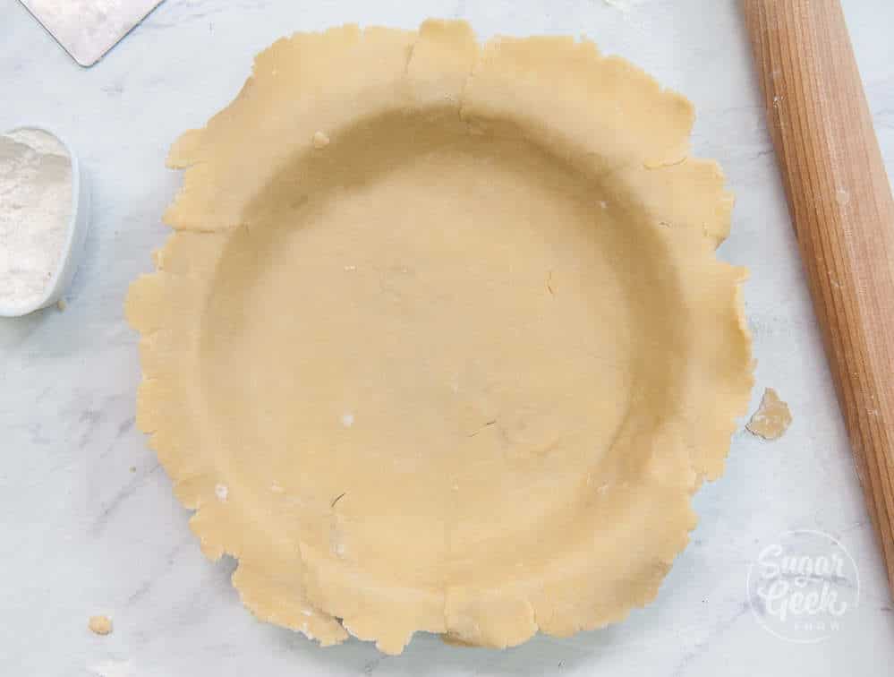 Mealy pie dough in a pie plate shot from above.