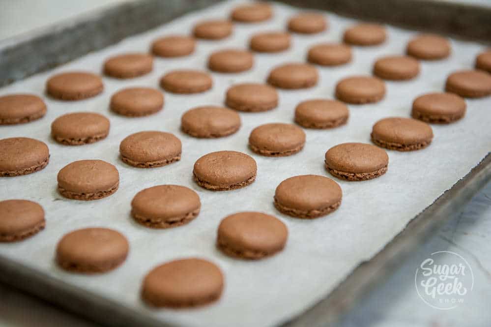 Baked chocolate macaron shells on a parchment lined sheet pan.