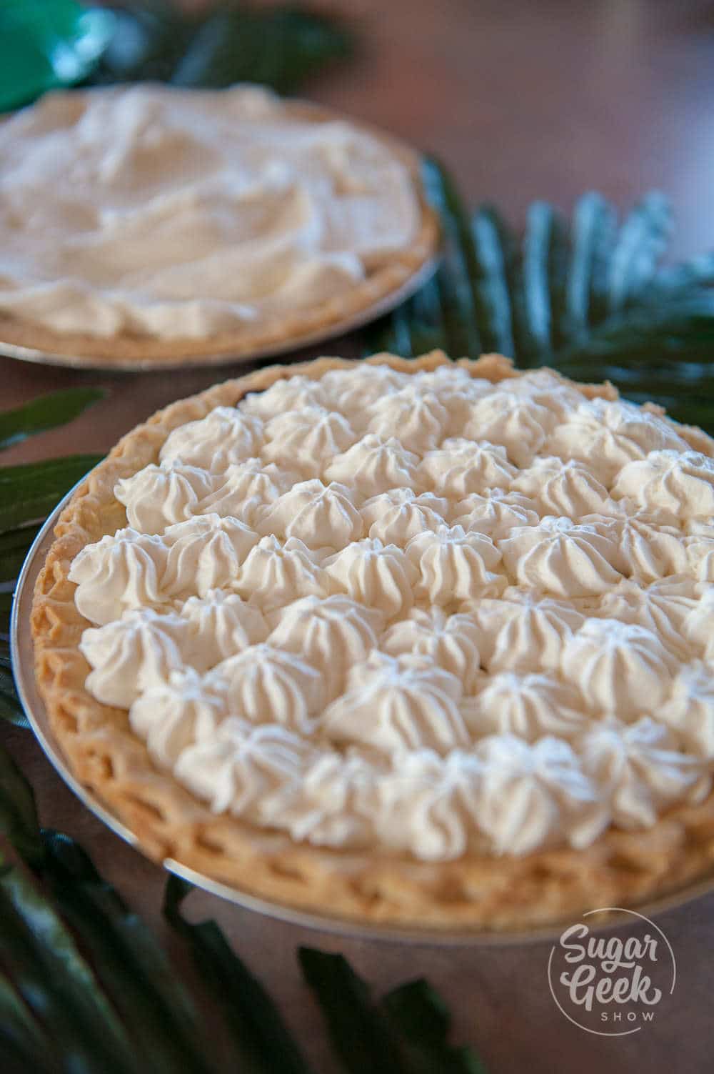 two haupia pies in pie tins