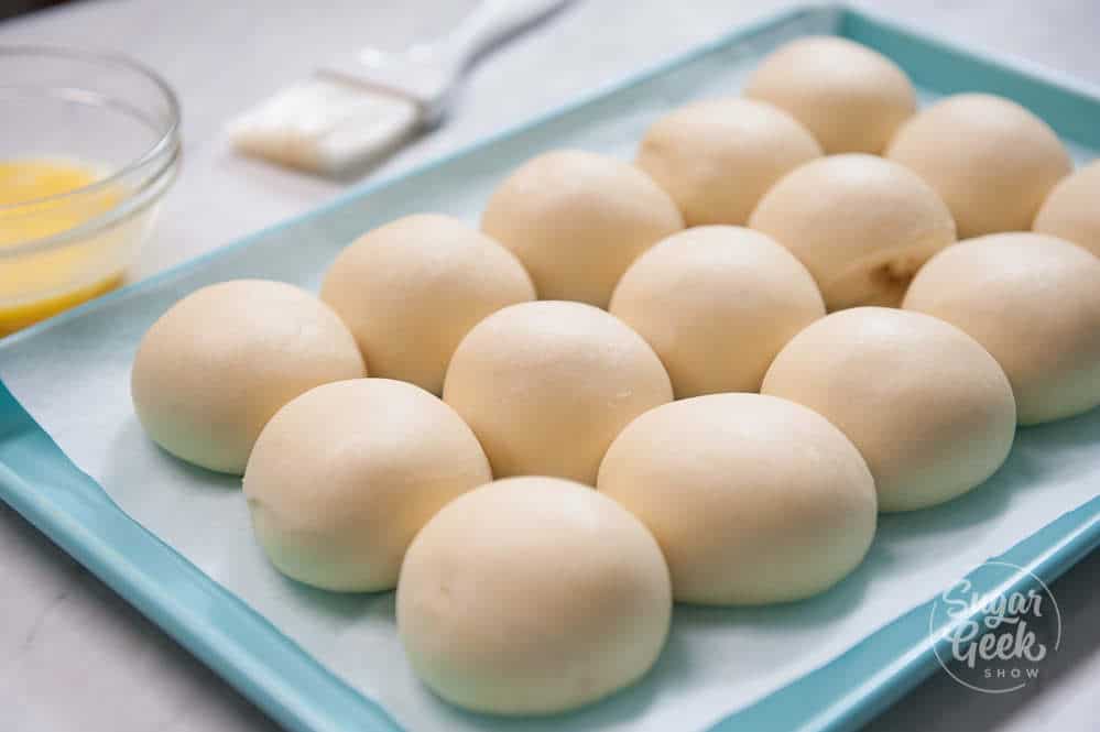 homemade dinner rolls on a blue sheet pan rising 