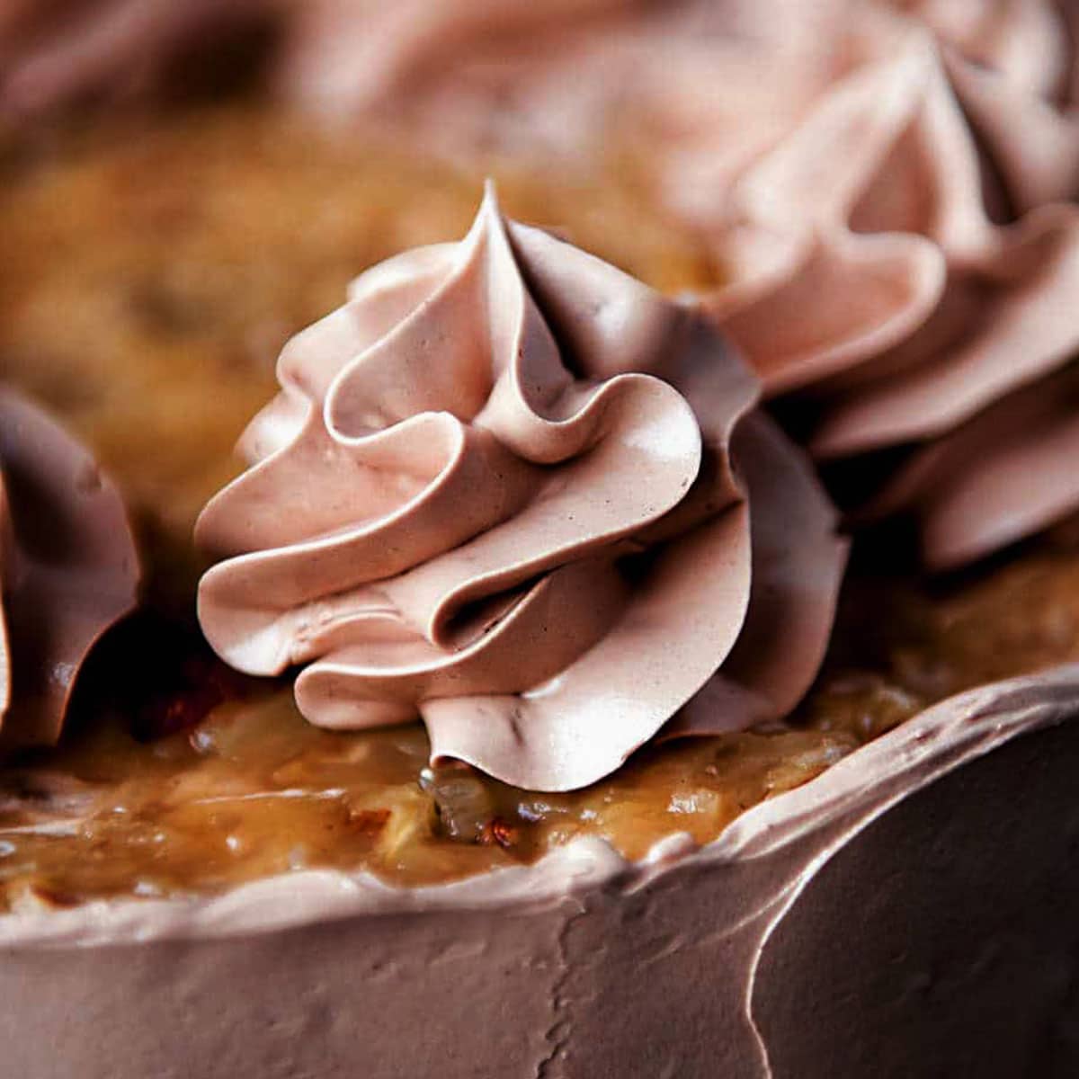 chocolate swiss meringue piped onto a cake