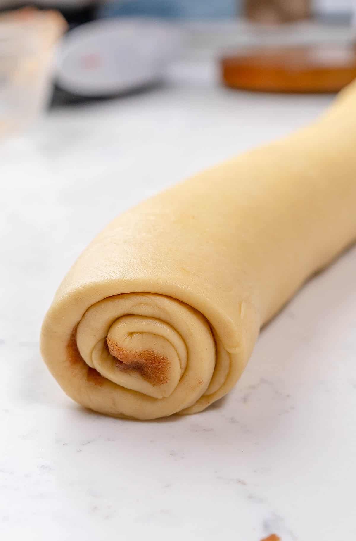 close up of cinnamon roll dough rolled up into a spiral