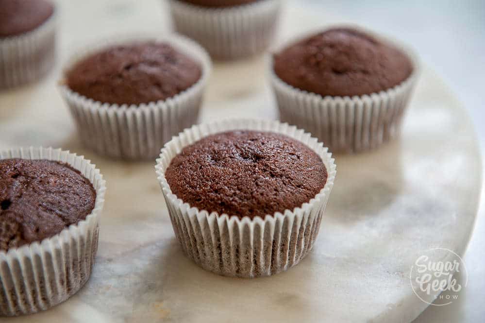 chocolate cupcakes in white liners 