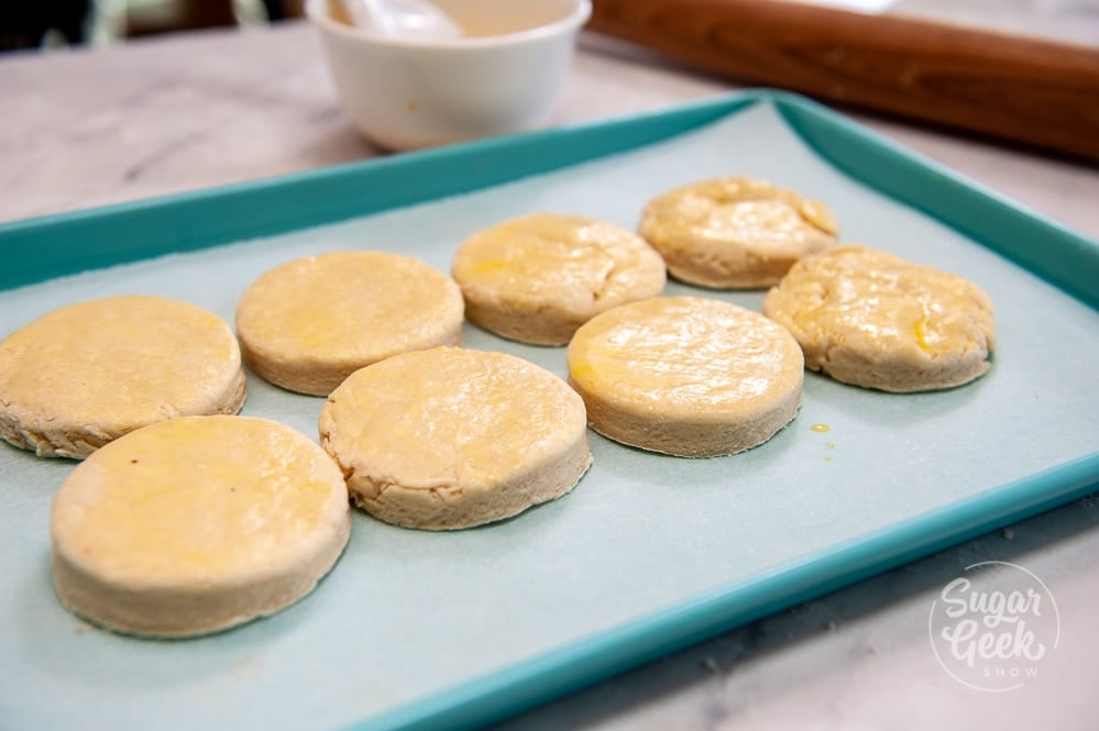 biscuits arranged on a blue cookie sheet with parchment paper after being brushed with egg wash