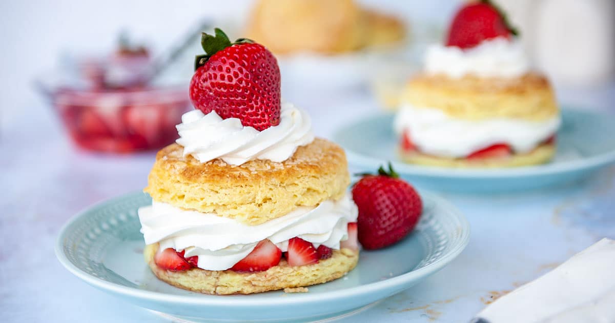 strawberry shortcake on blue plate with fresh strawberries