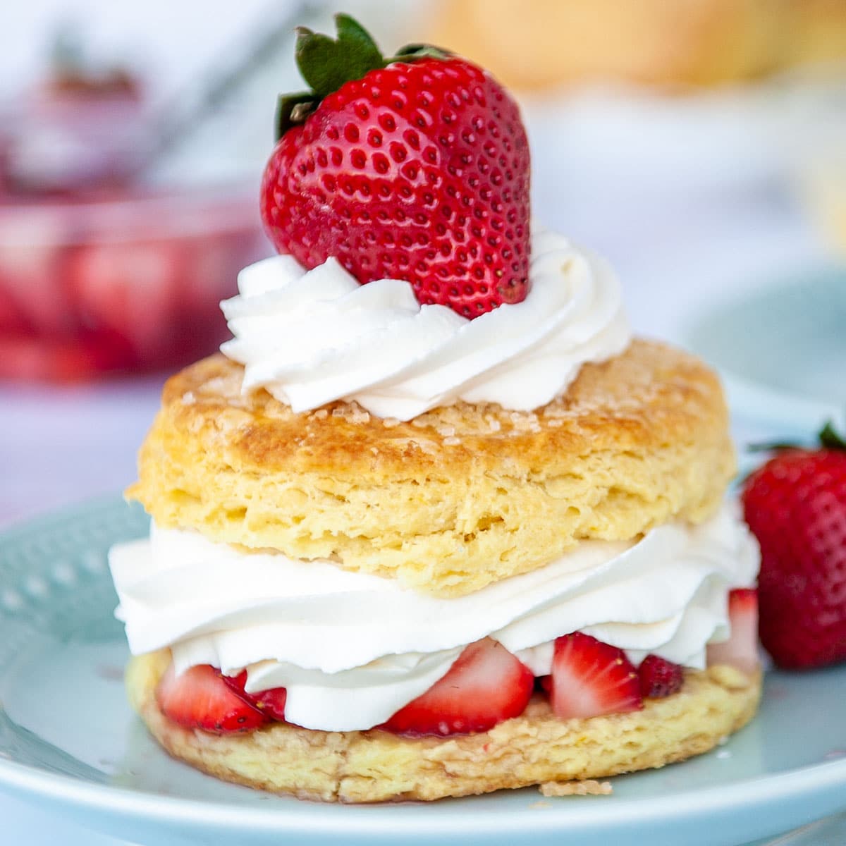 closeup of strawberry shortcake on blue plate