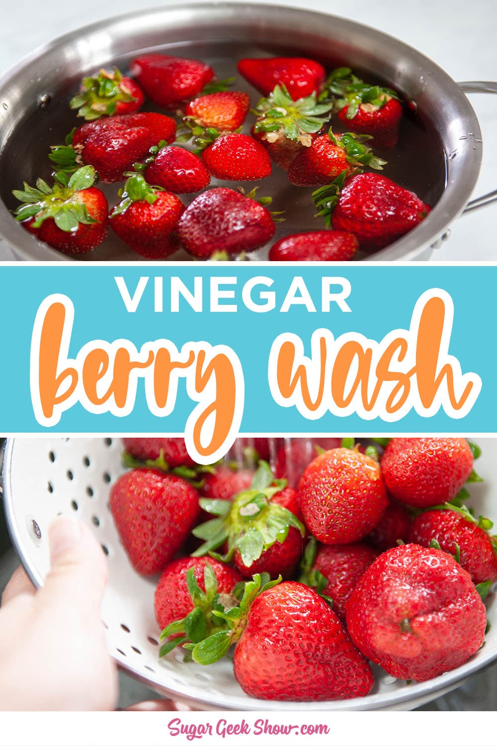 How To Make Fresh Berries Last Longer Sugar Geek Show