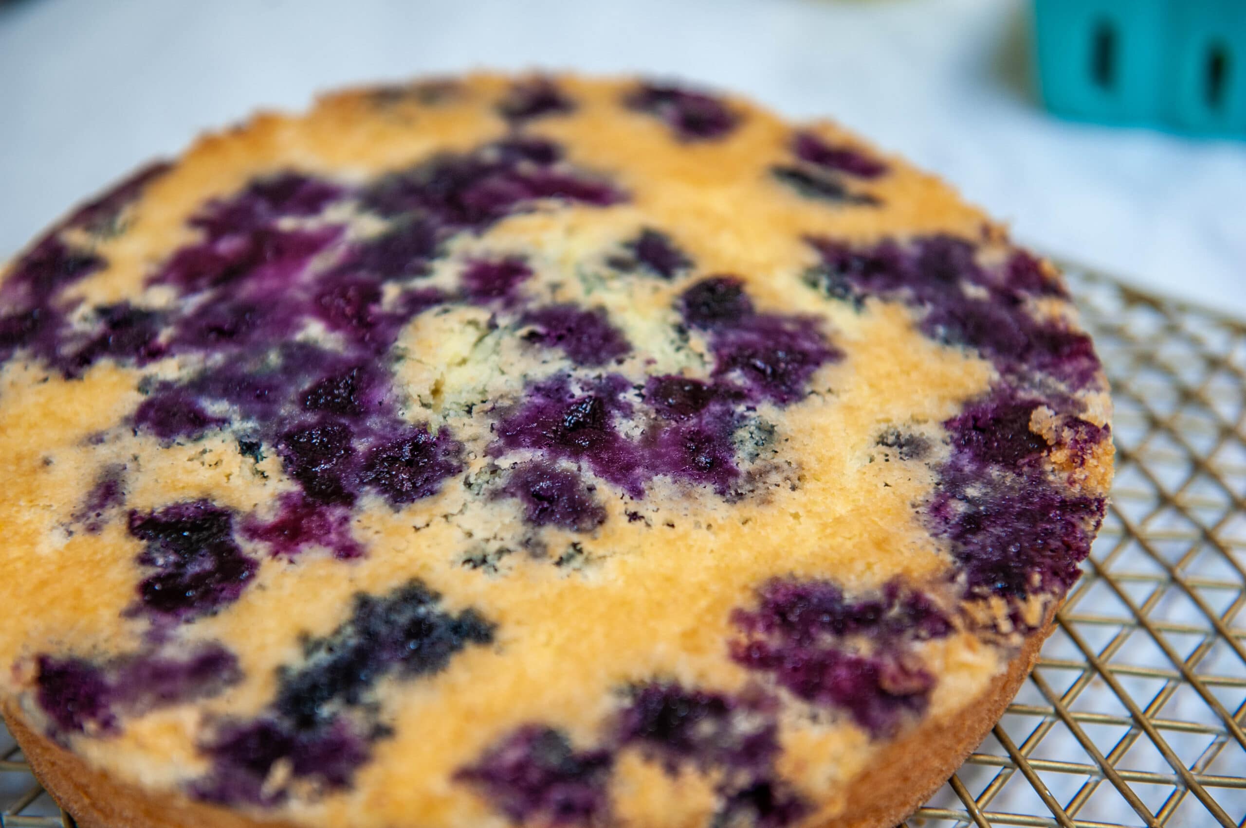 close up of lemon blueberry cake on cooling rack
