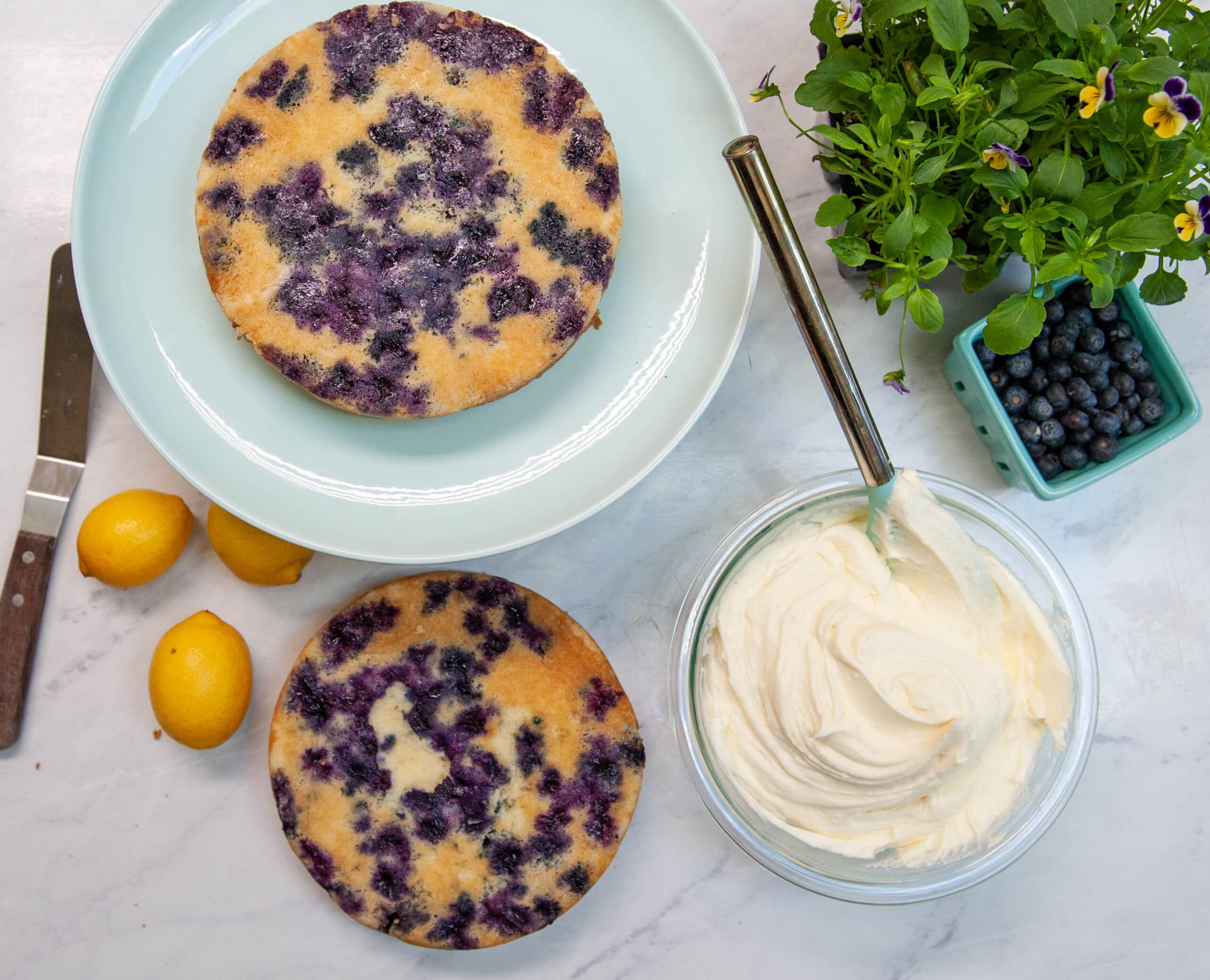 frosting lemon blueberry cakes