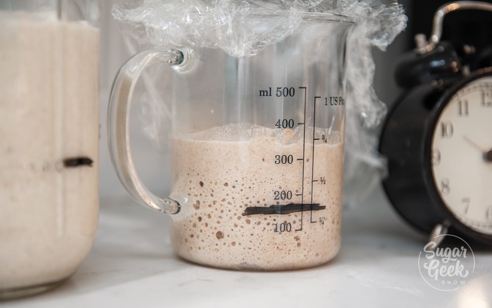 sourdough starter in clear container with black line on the jar