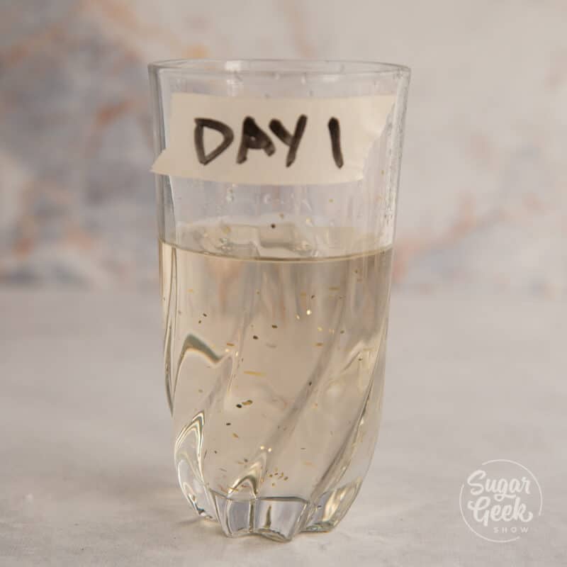 clear glass with water and glitter inside. Tape that says "day 1" on side