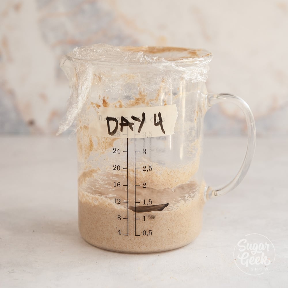 Starter in a measuring cup labeled day 4