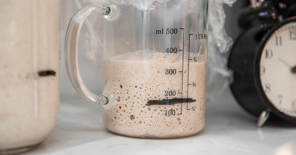 sourdough starter that has tripled in size