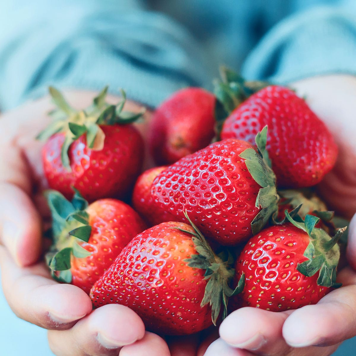 fresh strawberries in hands