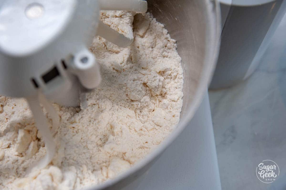 close up of hand pie dough in a mixer with sandy texture