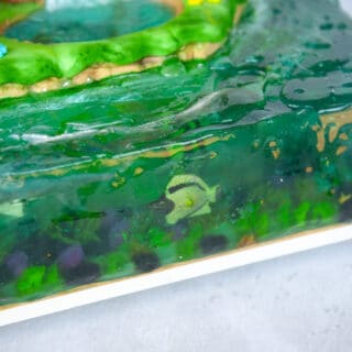 detail picture of gelatin ocean with floating edible fish inside