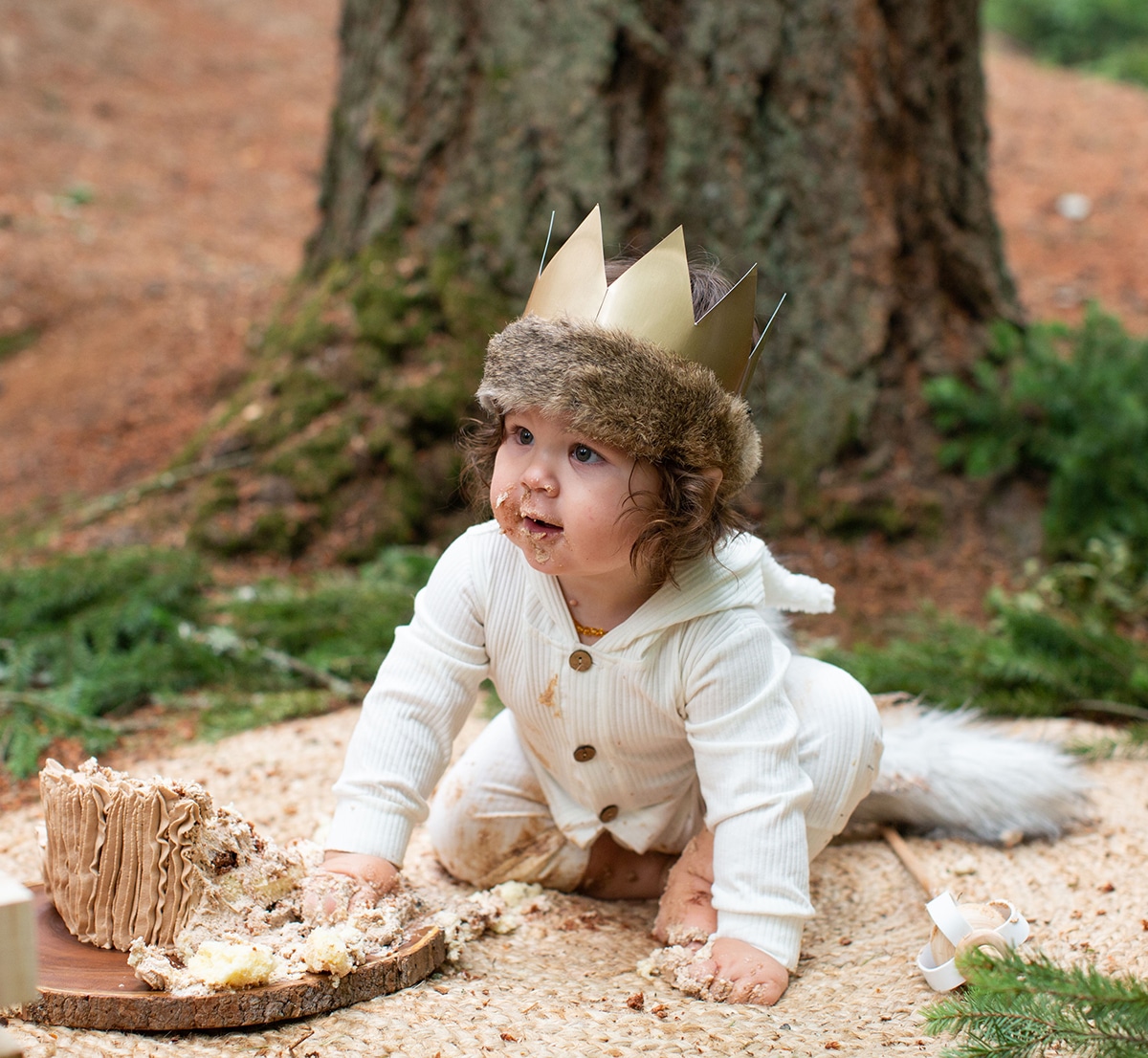 where the wild things are smash cake session