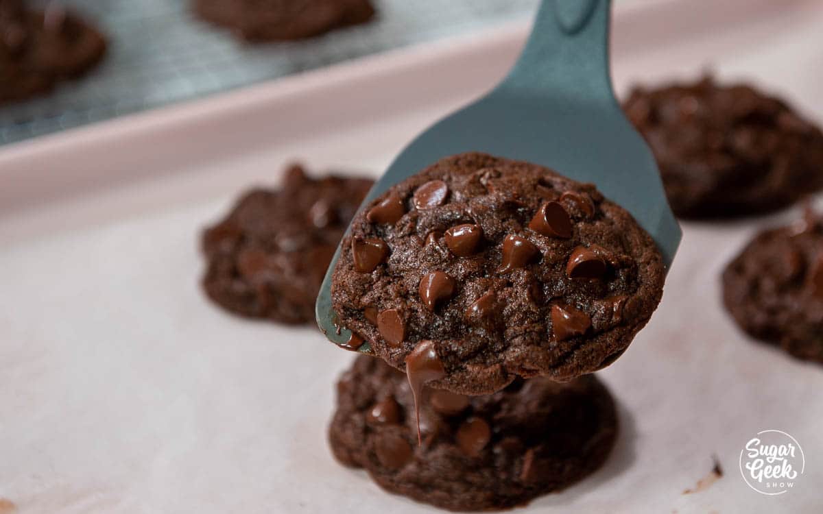 close up of double chocolate chip cookie on a blue spatula
