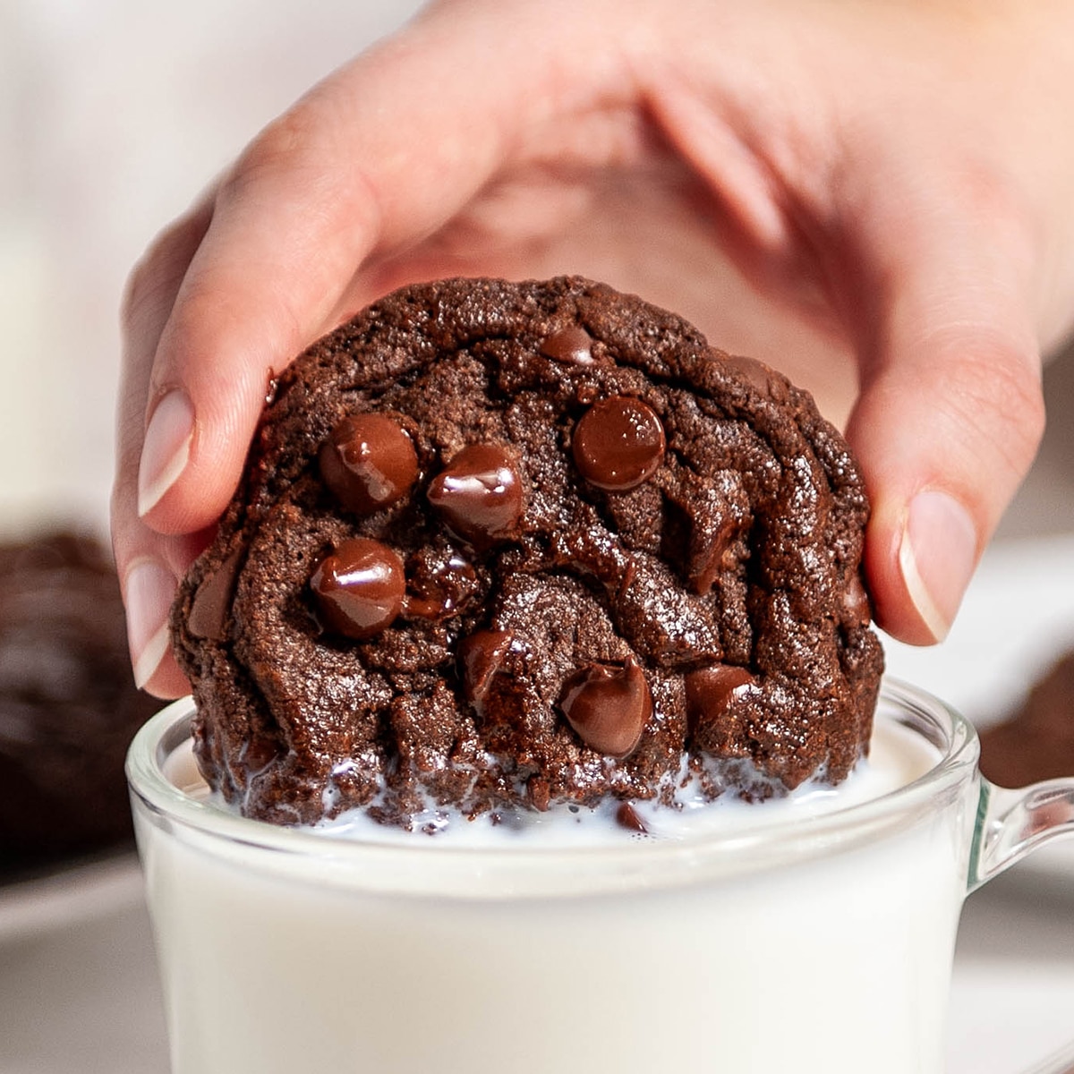 Chewy Double Chocolate Chip Cookies