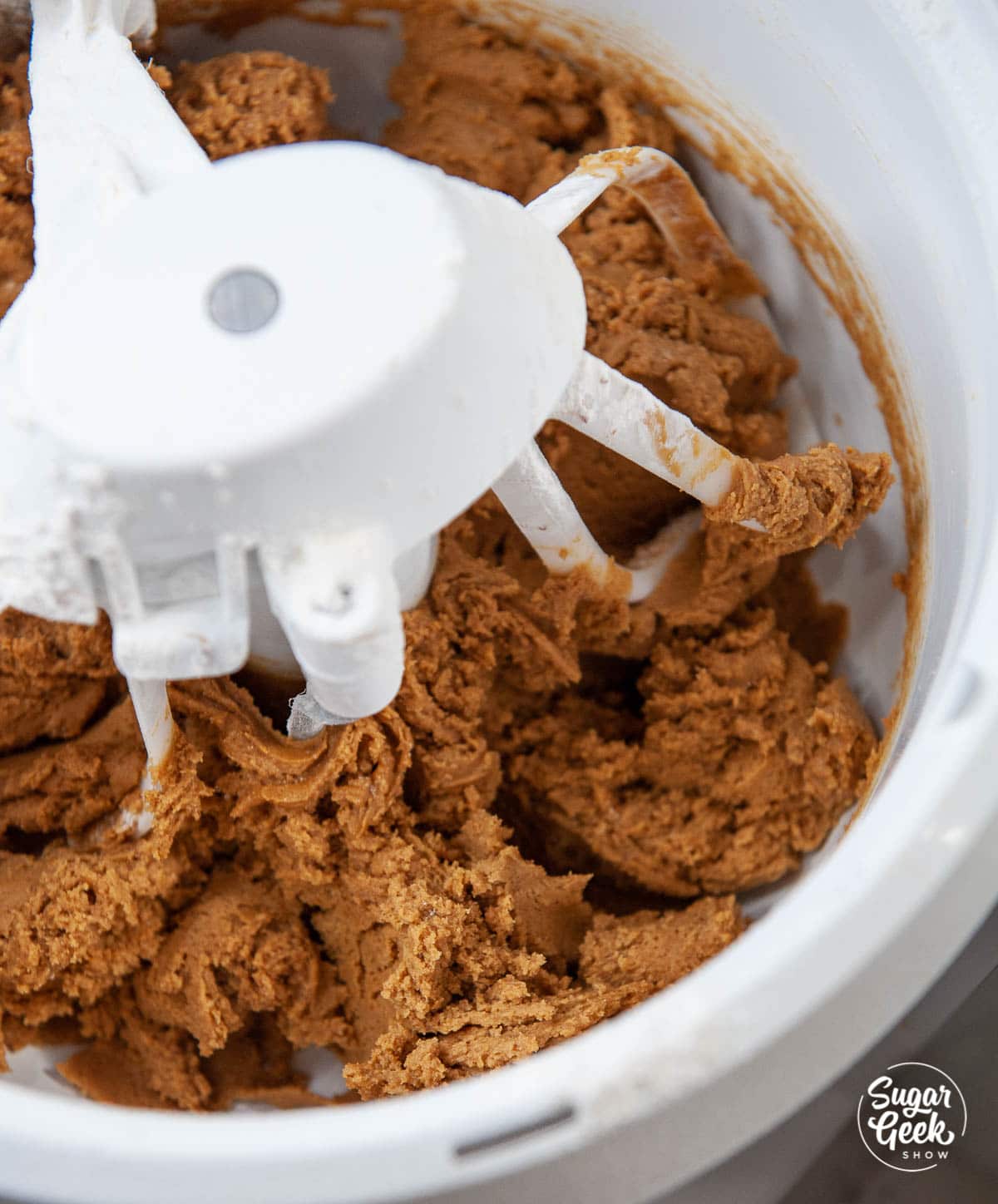 Dry ingredients mixed into the wet ingredients in a stand mixer to form the dough.