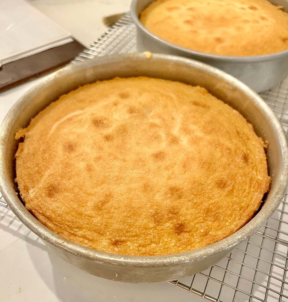 close up of baked cakes in pans