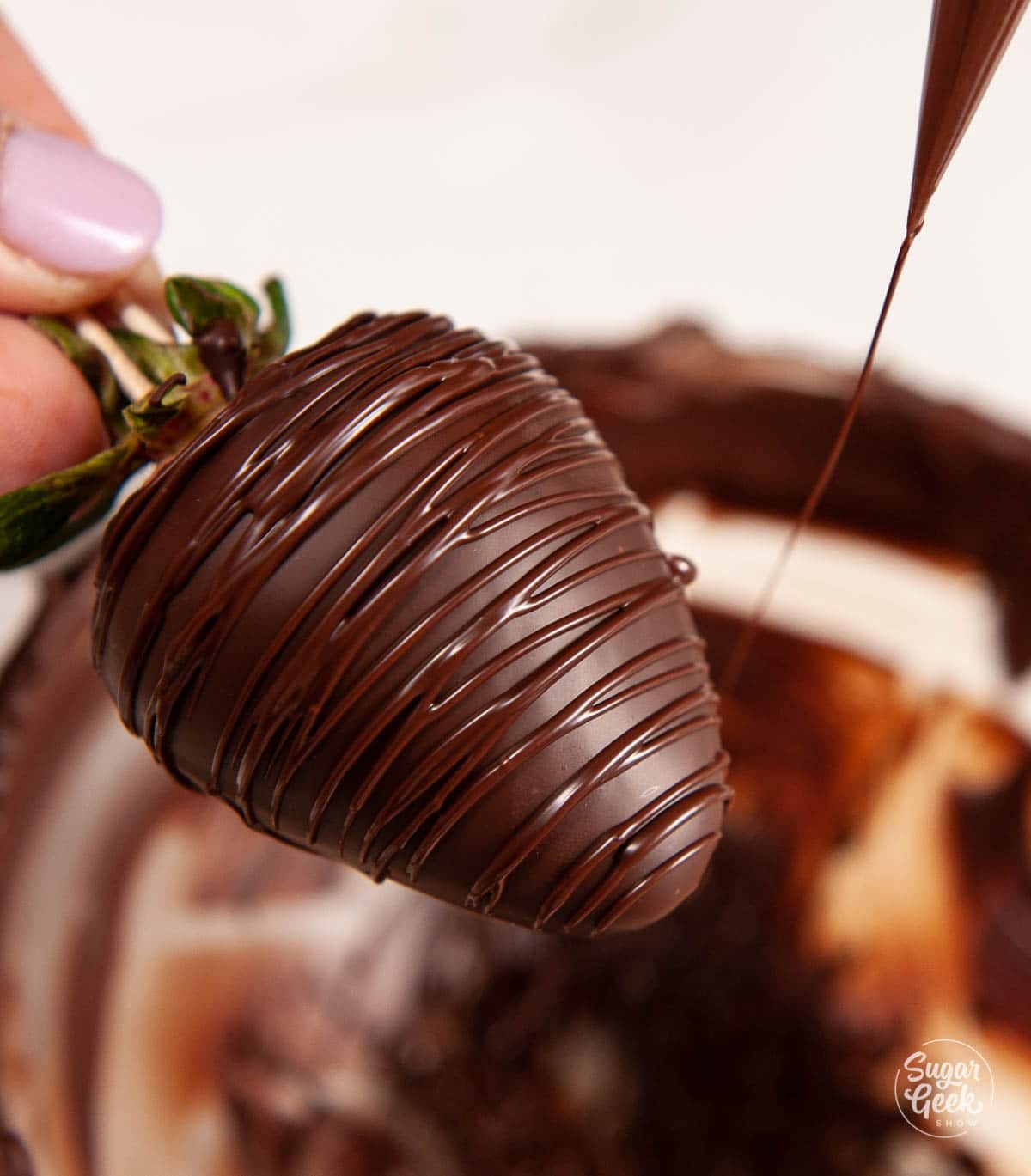 Chocolate Covered Strawberries (Best Recipe Tips) - Fifteen Spatulas