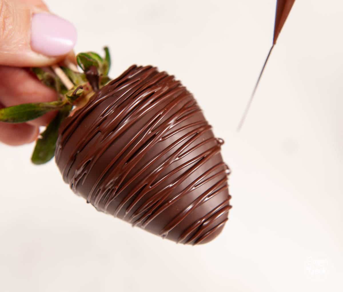drizzling chocolate over a chocolate covered strawberry