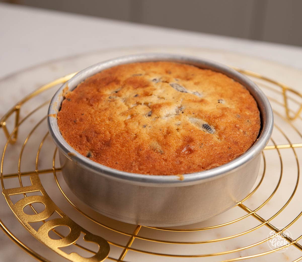 Close up of oreo cake baked in a pan on a cooling rack.