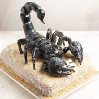 Cake sculpted to look like a scorpion sitting on sand