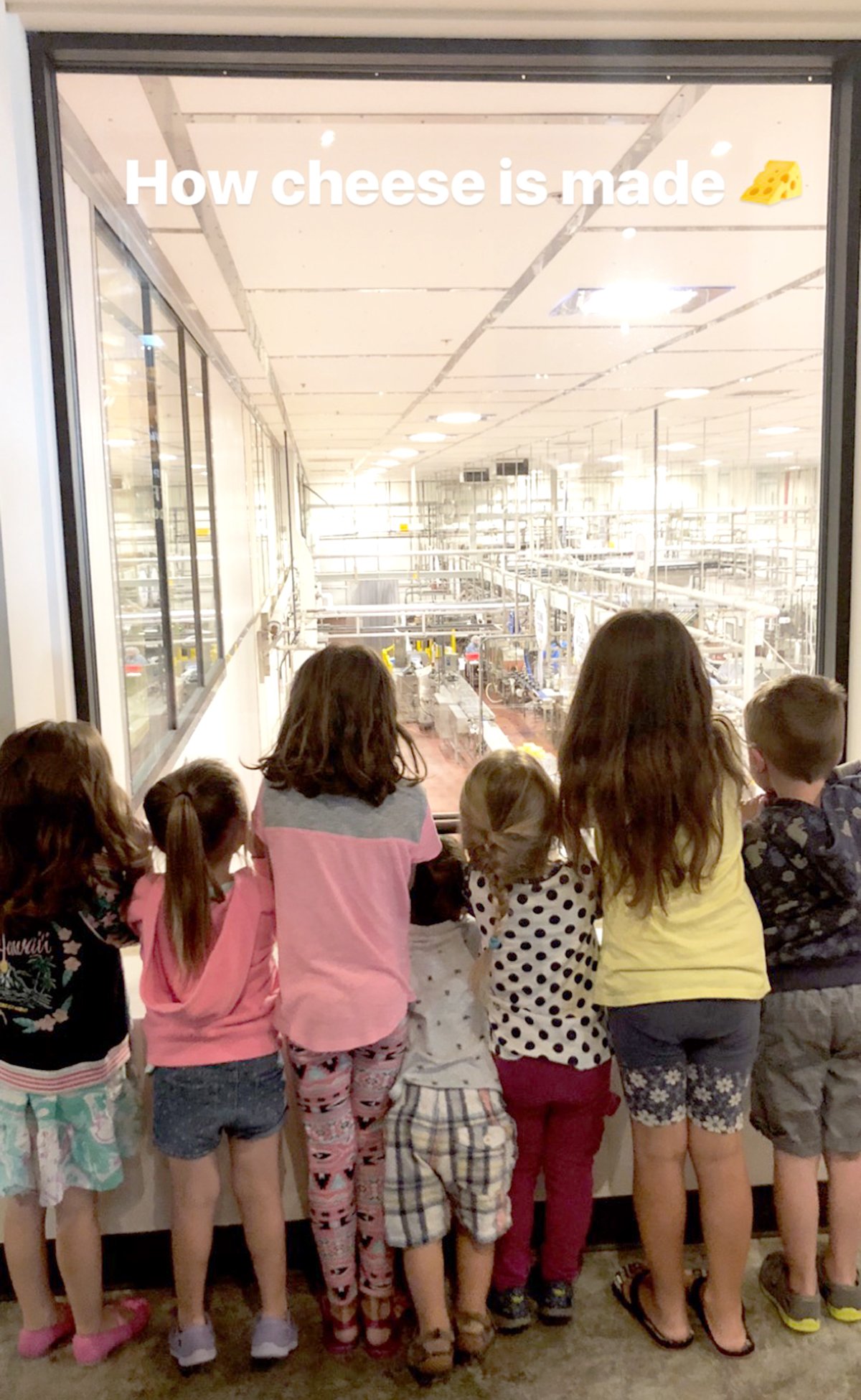 kids standing in front of a window at Tillamook creamery 