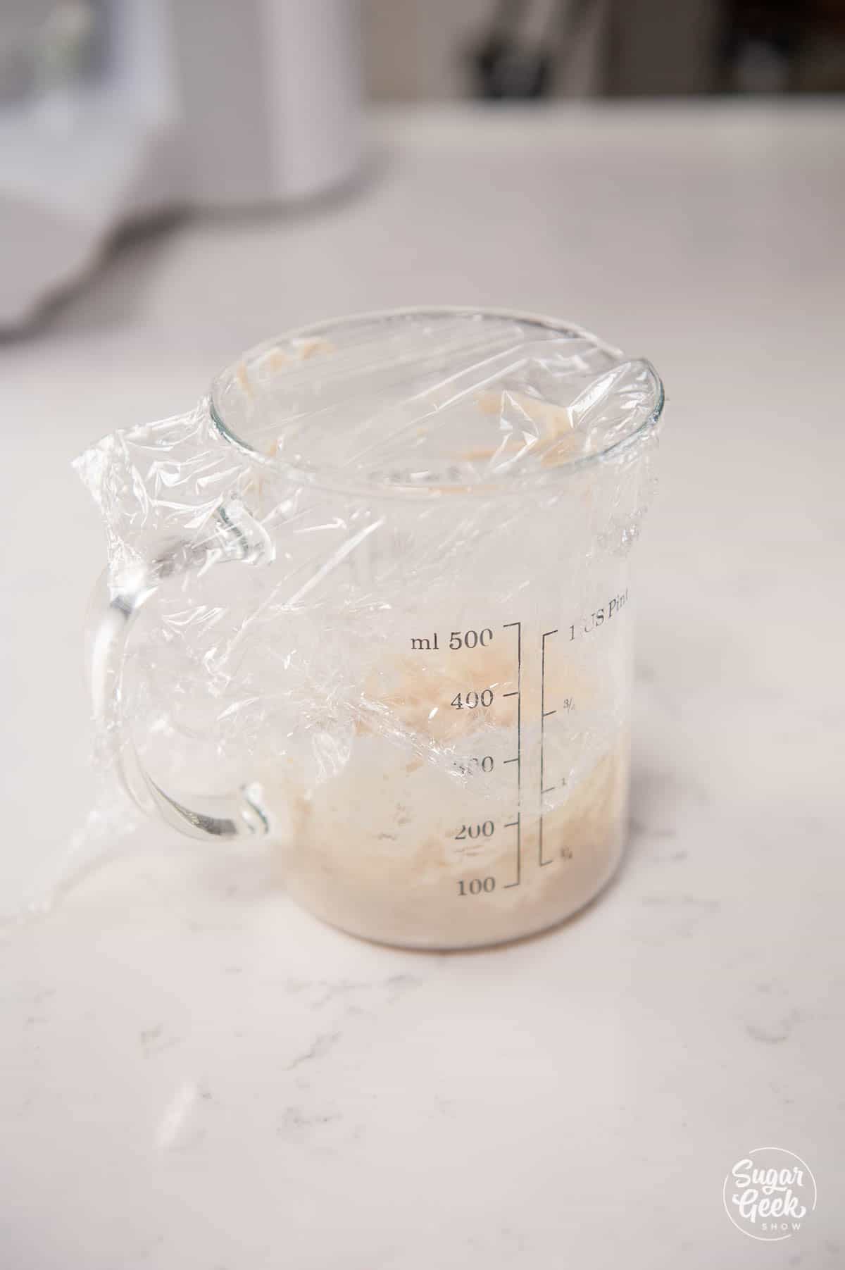 Brioche sponge in a measuring cup covered by plastic wrap on a white countertop.