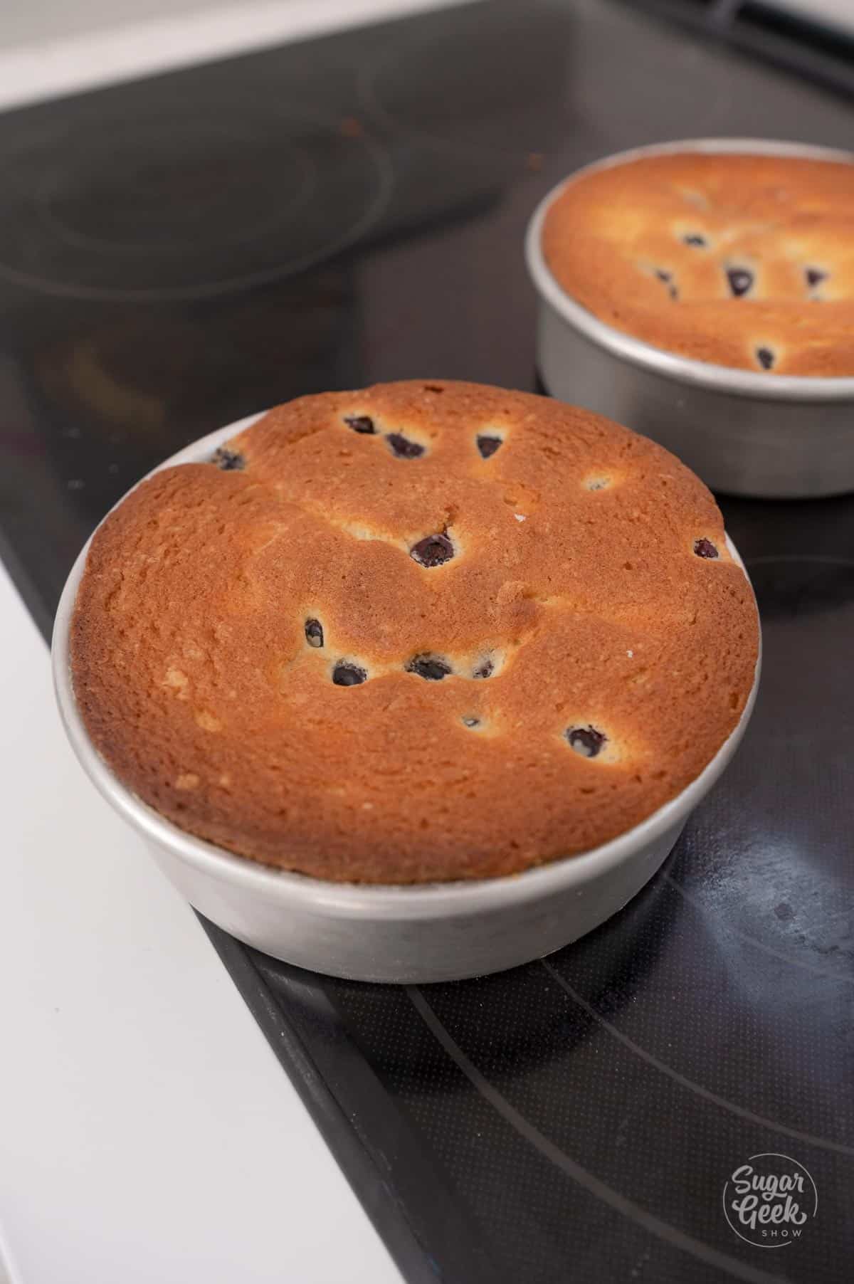 finished lemon blueberry cake in a cake pan