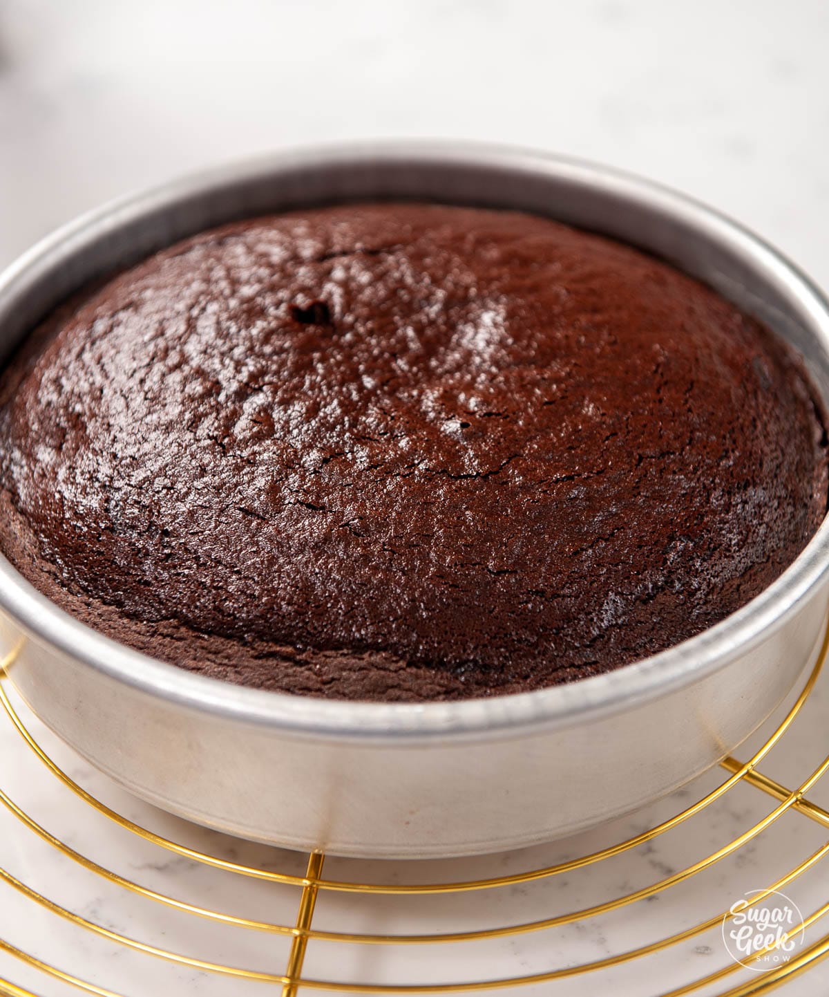 chocolate cake in a cake pan on a cooling rack