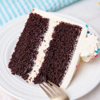 closeup of cake slice on a white plate